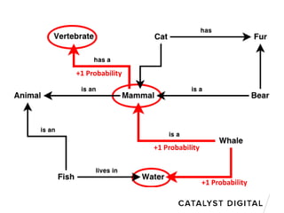 +1 Probability
+1 Probability
+1 Probability
 