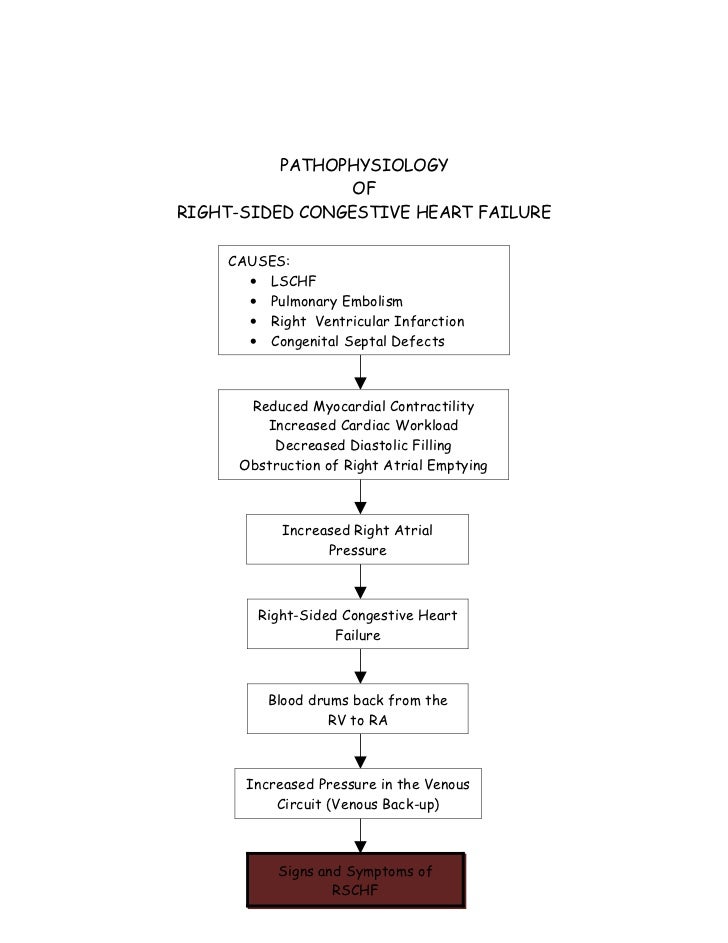 chf pathophysiology