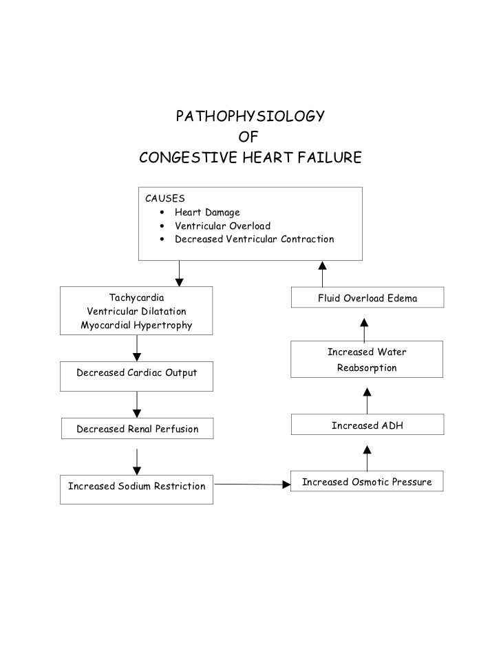 pathophysiology of chf