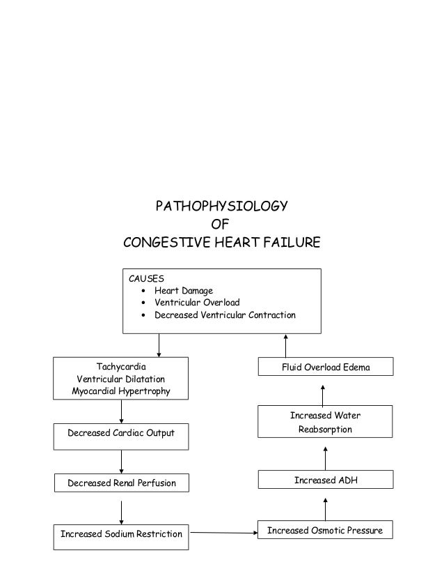 congestive failure pathophysiology