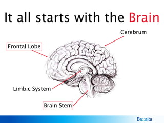 It all starts with the Brain
Brain Stem
Limbic System
Frontal Lobe
Cerebrum
 