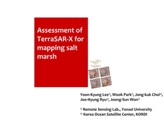 Assessment of TerraSAR-X for mapping salt marsh Assessment of TerraSAR-X for mapping salt marsh Yoon-Kyung Lee 1) , Wook Park 1) , Jong-kuk Choi 2) , Joo-Hyung Ryu 2) , Joong-Sun Won 1) 1)  Remote Sensing Lab., Yonsei University 2)  Korea Ocean Satellite Center, KORDI  