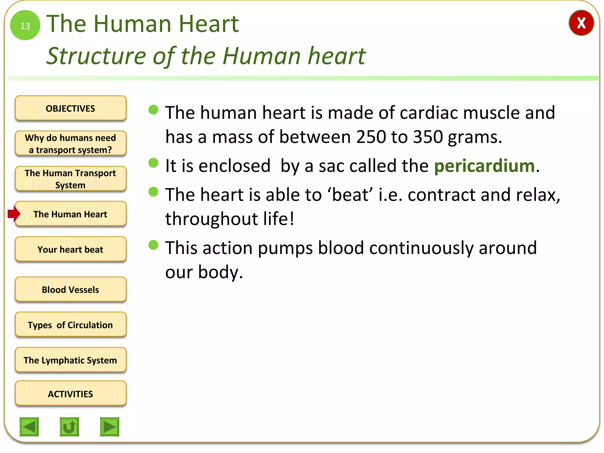 OBJECTIVES
The Human Transport
System
The Human Heart
Blood Vessels
Types of Circulation
ACTIVITIES
Your heart beat
The Lymphatic System
Why do humans need
a transport system?
The Human Heart
Structure of the Human heart
The human heart is made of cardiac muscle and
has a mass of between 250 to 350 grams.
It is enclosed by a sac called the pericardium.
The heart is able to ‘beat’ i.e. contract and relax,
throughout life!
This action pumps blood continuously around
our body.
13
 