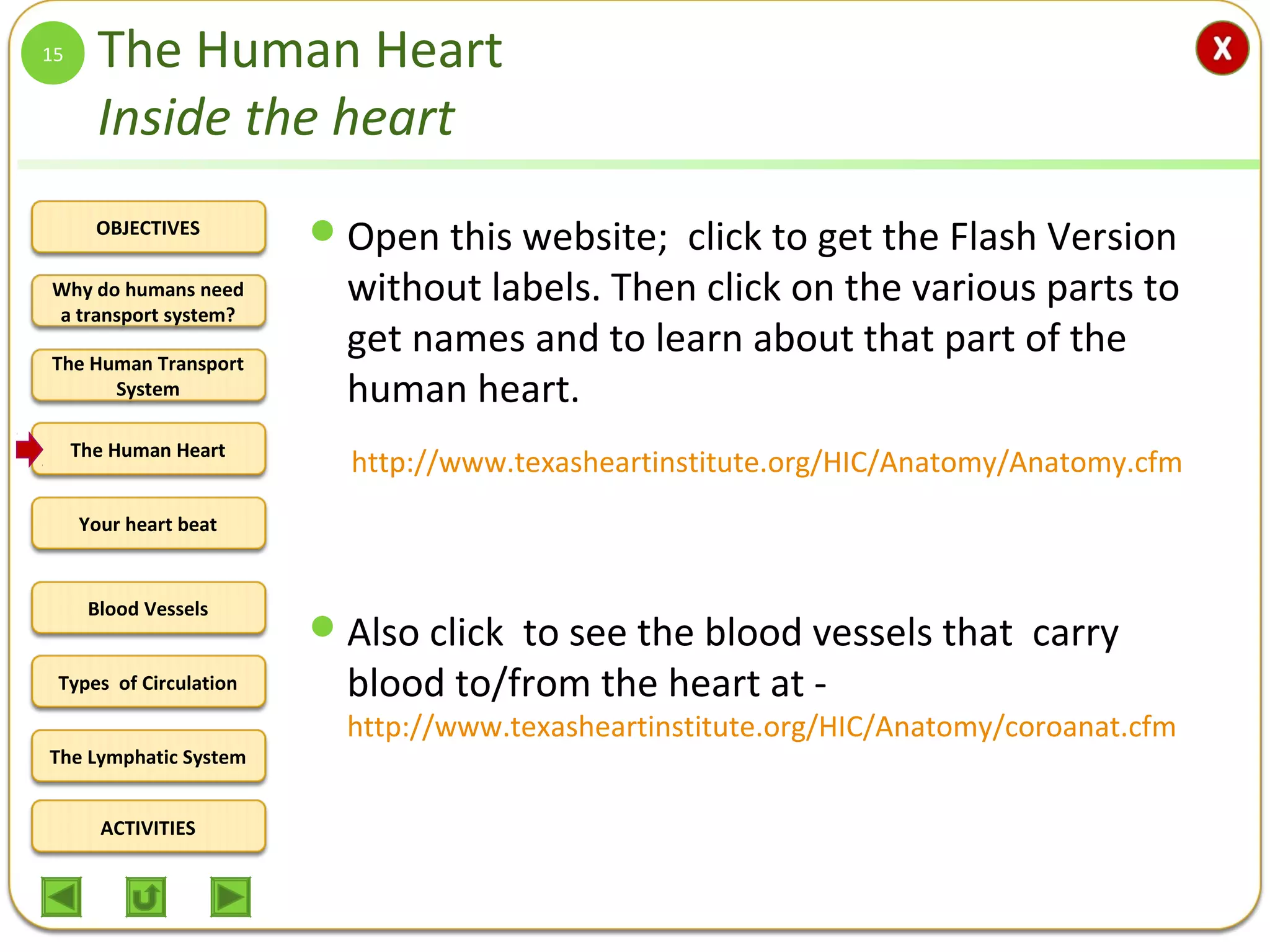 OBJECTIVES
The Human Transport
System
The Human Heart
Blood Vessels
Types of Circulation
ACTIVITIES
Your heart beat
The Lymphatic System
Why do humans need
a transport system?
The Human Heart
Inside the heart
Open this website; click to get the Flash Version
without labels. Then click on the various parts to
get names and to learn about that part of the
human heart.
Also click to see the blood vessels that carry
blood to/from the heart at -
http://www.texasheartinstitute.org/HIC/Anatomy/coroanat.cfm
15
http://www.texasheartinstitute.org/HIC/Anatomy/Anatomy.cfm
 
