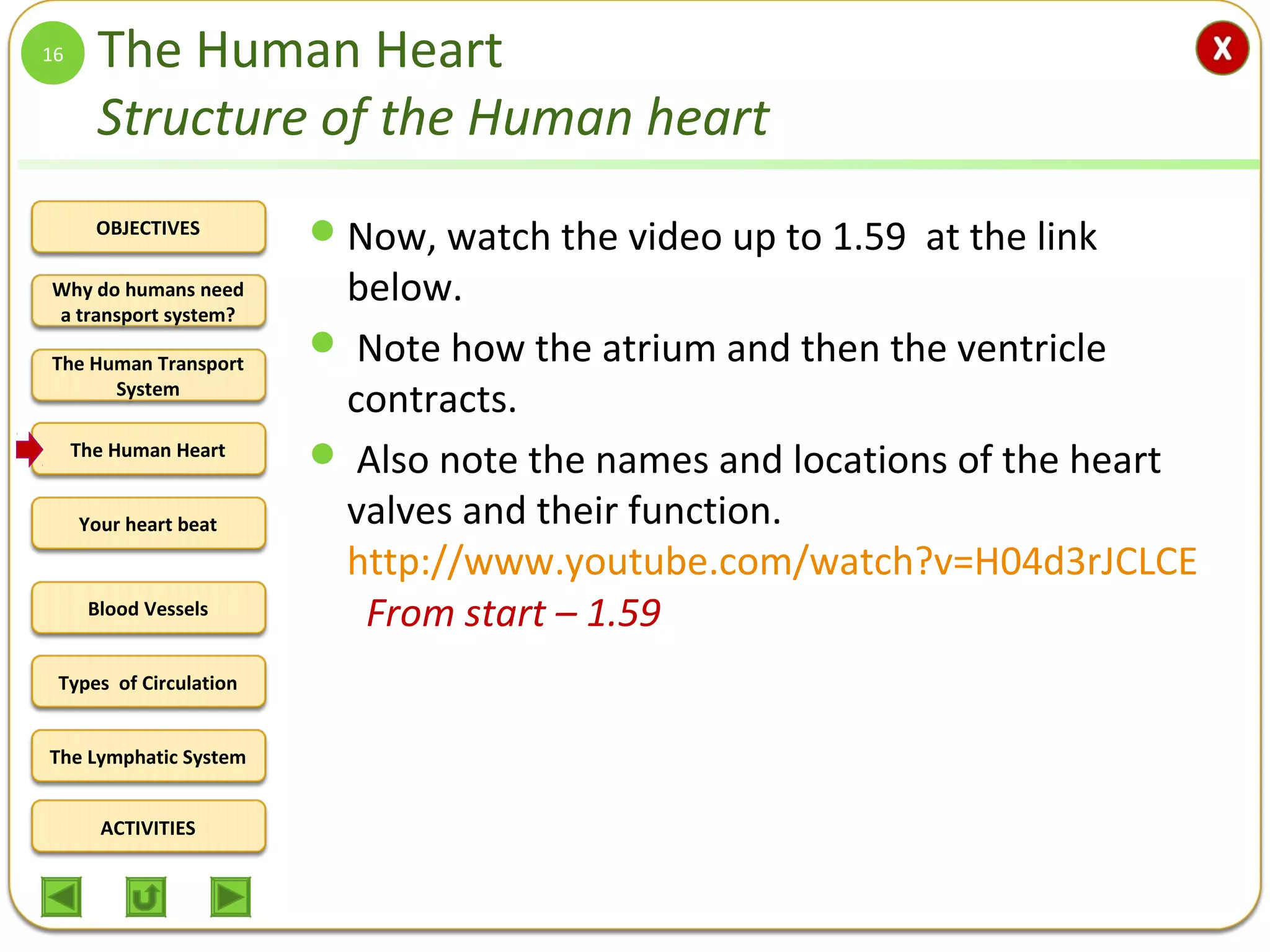 OBJECTIVES
The Human Transport
System
The Human Heart
Blood Vessels
Types of Circulation
ACTIVITIES
Your heart beat
The Lymphatic System
Why do humans need
a transport system?
The Human Heart
Structure of the Human heart
Now, watch the video up to 1.59 at the link
below.
 Note how the atrium and then the ventricle
contracts.
 Also note the names and locations of the heart
valves and their function.
http://www.youtube.com/watch?v=H04d3rJCLCE
From start – 1.59
16
 