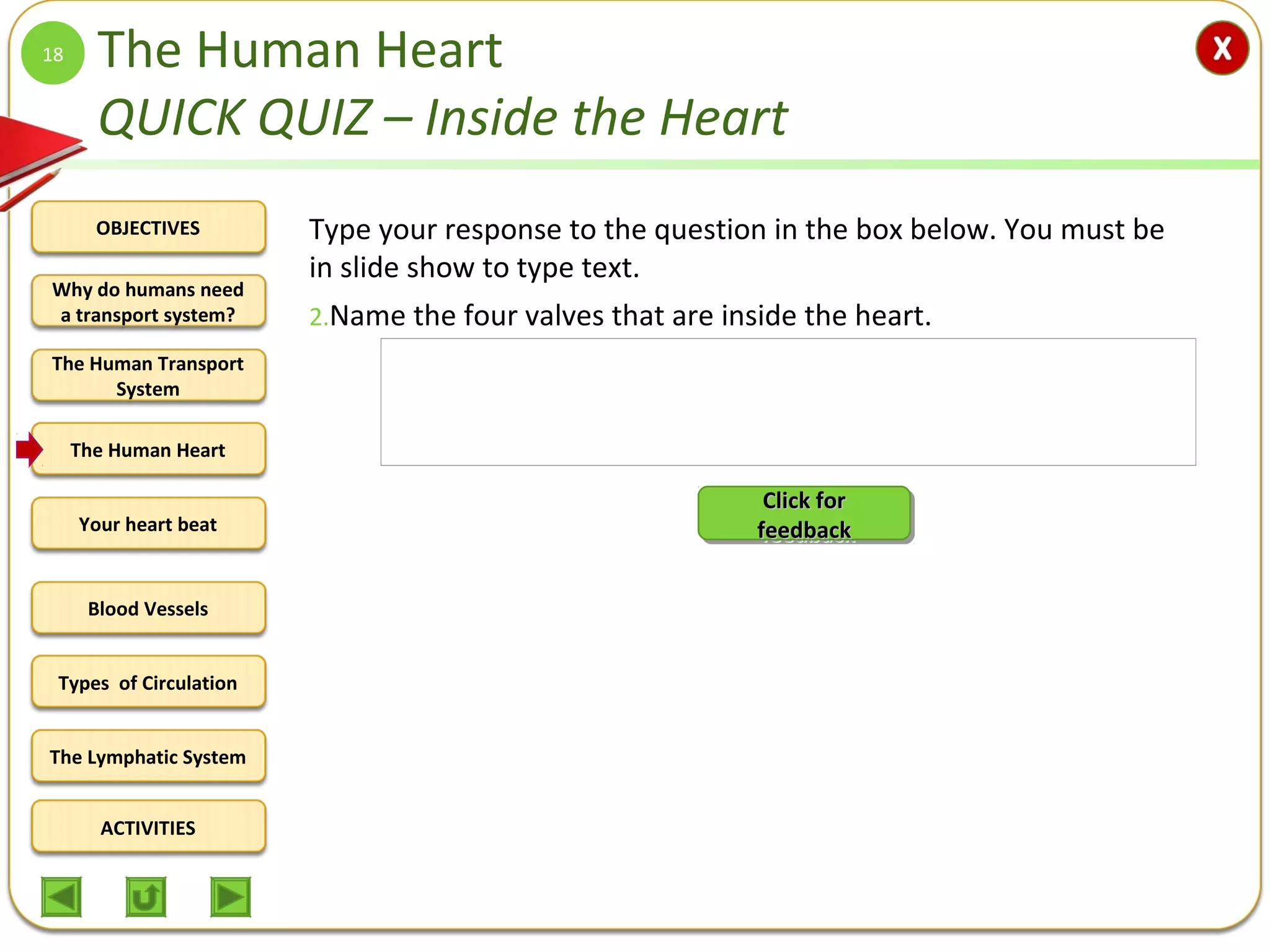 OBJECTIVES
The Human Transport
System
The Human Heart
Blood Vessels
Types of Circulation
ACTIVITIES
Your heart beat
The Lymphatic System
Why do humans need
a transport system?
The Human Heart
QUICK QUIZ – Inside the Heart
Type your response to the question in the box below. You must be
in slide show to type text.
2.Name the four valves that are inside the heart.
18
Tricuspid valve: Between the right atrium and the right ventricle
Bicuspid valve: Between the left atrium and the left ventricle
Pulmonary semilunar valve: Between right ventricle and
pulmonary trunk
Aortic semilunar valve: Between left ventricle and ascending aorta
Visit the following links for more information:
http://www.nlm.nih.gov/medlineplus/ency/imagepages/9380.htm
http://www.texasheartinstitute.org/HIC/Anatomy/valves.cfm
Click forClick for
feedbackfeedback
Click forClick for
feedbackfeedback
 