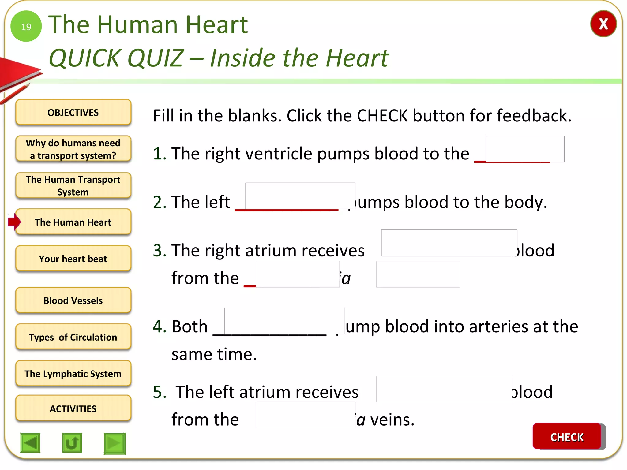 OBJECTIVES
The Human Transport
System
The Human Heart
Blood Vessels
Types of Circulation
ACTIVITIES
Your heart beat
The Lymphatic System
Why do humans need
a transport system?
The Human Heart
QUICK QUIZ – Inside the Heart
Fill in the blanks. Click the CHECK button for feedback.
1. The right ventricle pumps blood to the ________.
2. The left __________ pumps blood to the body.
3. The right atrium receives _____________ blood
from the ________ via ________ .
4. Both ____________ pump blood into arteries at the
same time.
5. The left atrium receives _____________ blood
from the __________ via veins.
19
CHECKCHECKCHECKCHECK
 