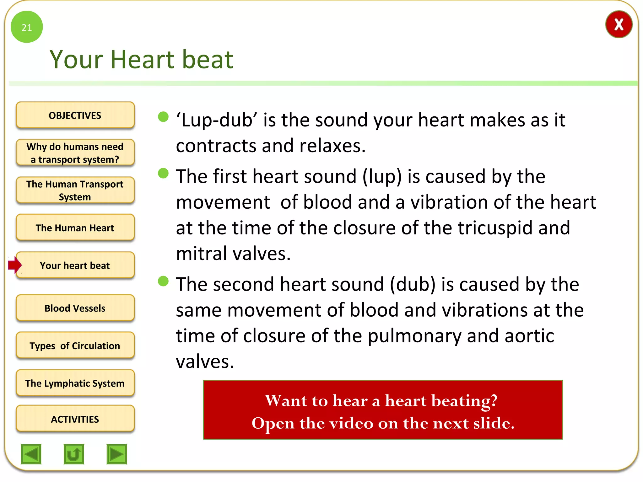 OBJECTIVES
The Human Transport
System
The Human Heart
Blood Vessels
Types of Circulation
ACTIVITIES
Your heart beat
The Lymphatic System
Why do humans need
a transport system?
Your Heart beat
‘Lup-dub’ is the sound your heart makes as it
contracts and relaxes.
The first heart sound (lup) is caused by the
movement of blood and a vibration of the heart
at the time of the closure of the tricuspid and
mitral valves.
The second heart sound (dub) is caused by the
same movement of blood and vibrations at the
time of closure of the pulmonary and aortic
valves.
21
Want to hear a heart beating?
Open the video on the next slide.
 