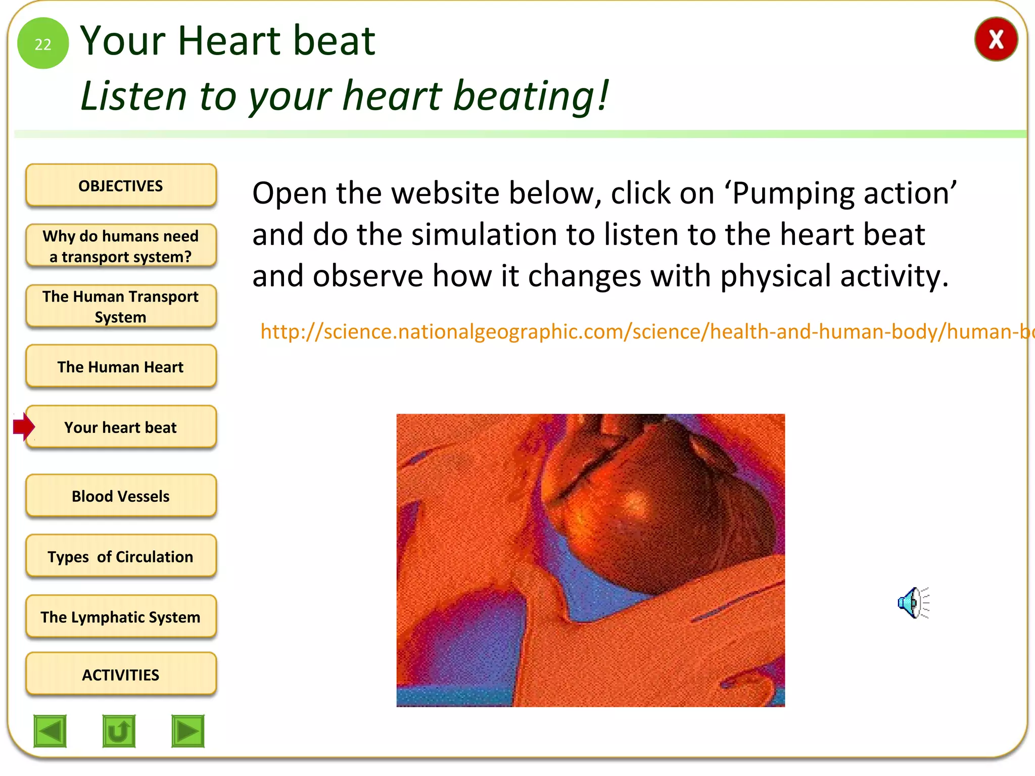 OBJECTIVES
The Human Transport
System
The Human Heart
Blood Vessels
Types of Circulation
ACTIVITIES
Your heart beat
The Lymphatic System
Why do humans need
a transport system?
Your Heart beat
Listen to your heart beating!
Open the website below, click on ‘Pumping action’
and do the simulation to listen to the heart beat
and observe how it changes with physical activity.
22
http://science.nationalgeographic.com/science/health-and-human-body/human-bo
 