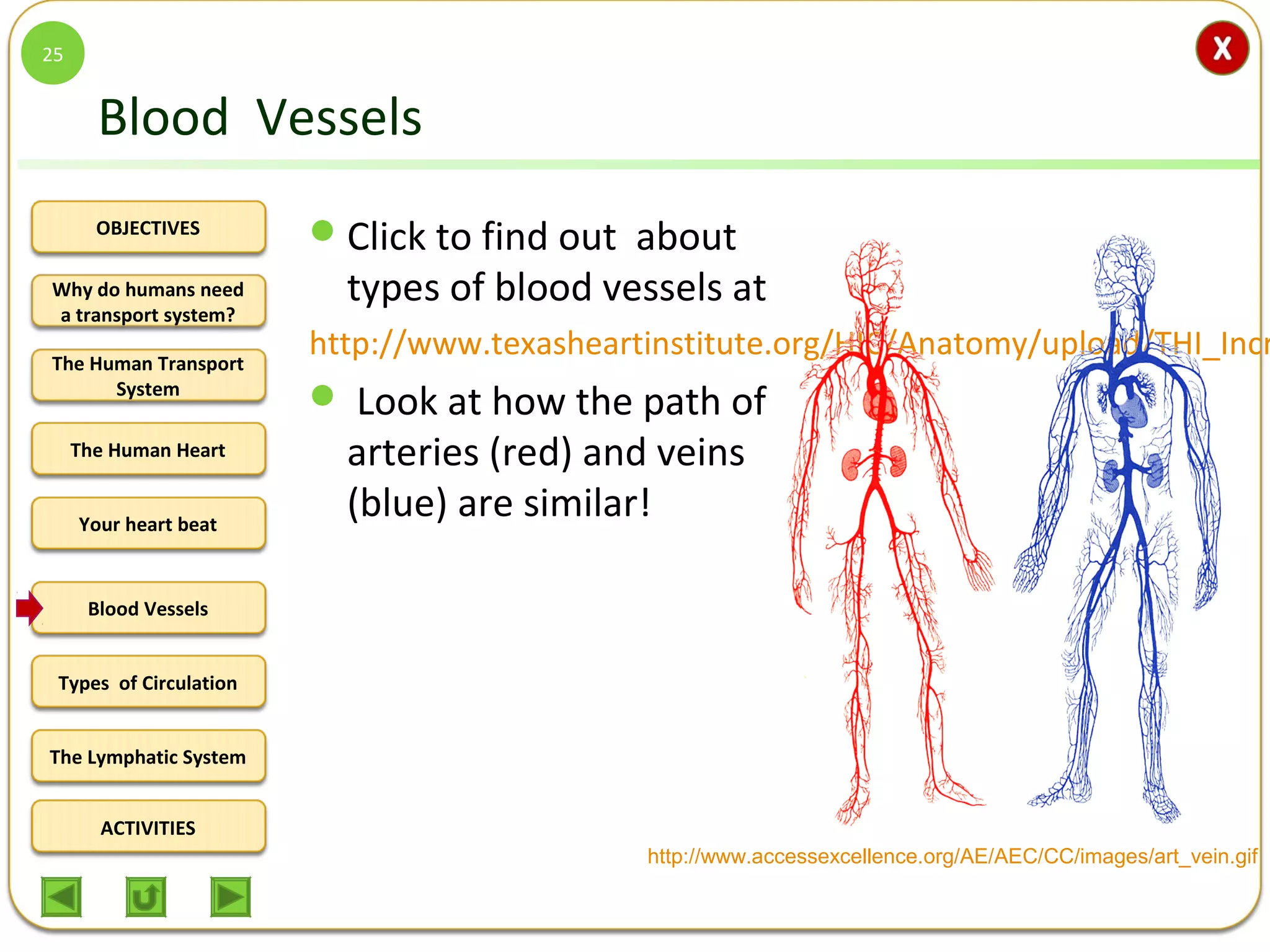 OBJECTIVES
The Human Transport
System
The Human Heart
Blood Vessels
Types of Circulation
ACTIVITIES
Your heart beat
The Lymphatic System
Why do humans need
a transport system?
Blood Vessels
Click to find out about
types of blood vessels at
http://www.texasheartinstitute.org/HIC/Anatomy/upload/THI_Incr
 Look at how the path of
arteries (red) and veins
(blue) are similar!
25
http://www.accessexcellence.org/AE/AEC/CC/images/art_vein.gif
 