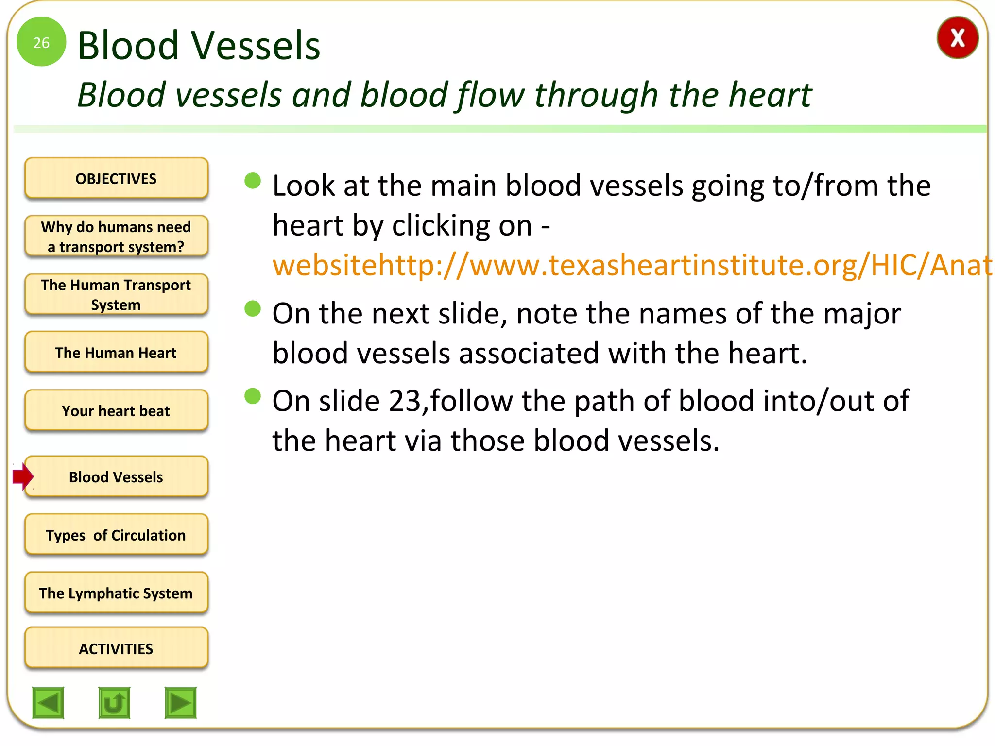 OBJECTIVES
The Human Transport
System
The Human Heart
Blood Vessels
Types of Circulation
ACTIVITIES
Your heart beat
The Lymphatic System
Why do humans need
a transport system?
Blood Vessels
Blood vessels and blood flow through the heart
Look at the main blood vessels going to/from the
heart by clicking on -
websitehttp://www.texasheartinstitute.org/HIC/Anato
On the next slide, note the names of the major
blood vessels associated with the heart.
On slide 23,follow the path of blood into/out of
the heart via those blood vessels.
26
 