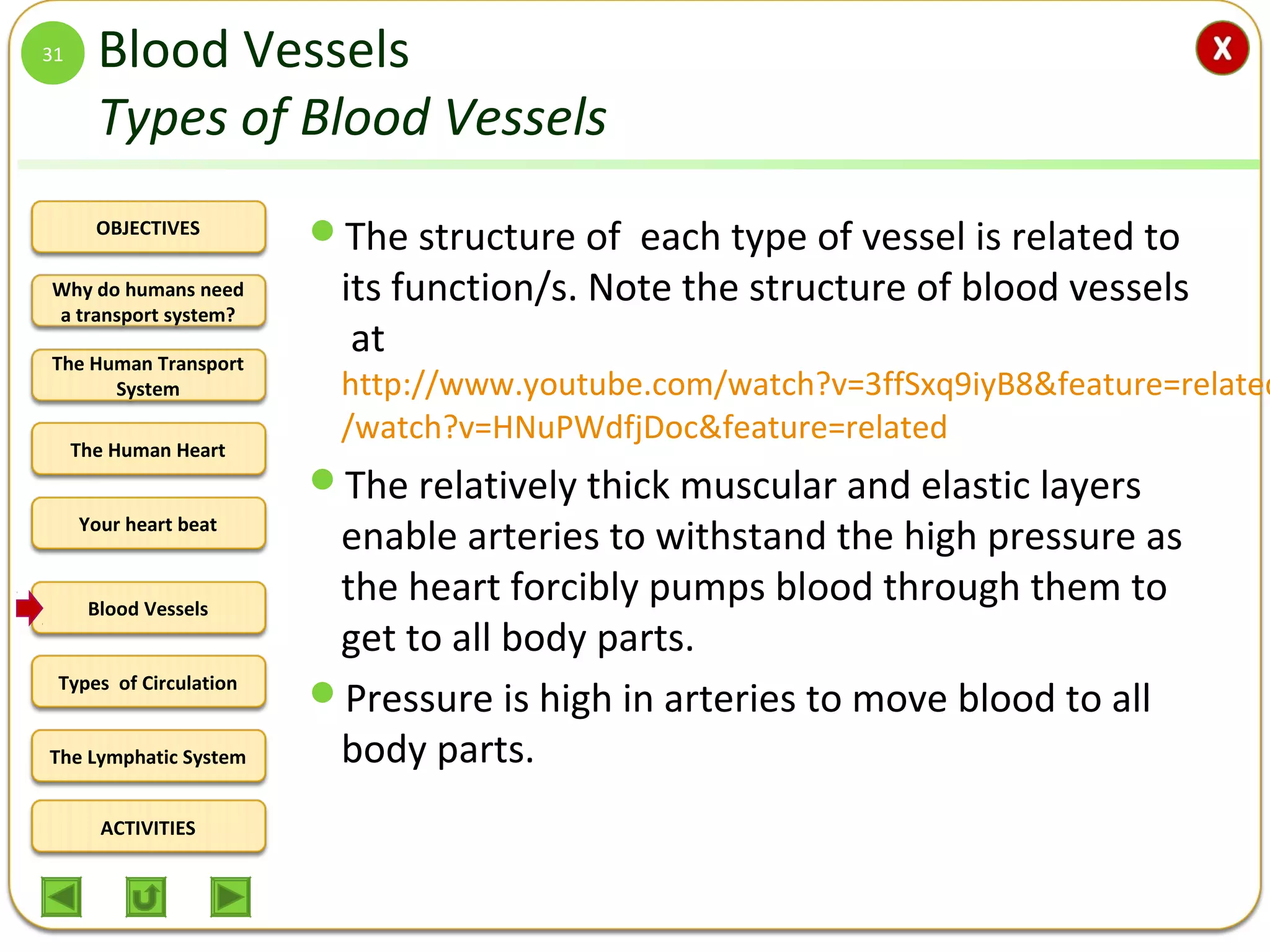 OBJECTIVES
The Human Transport
System
The Human Heart
Blood Vessels
Types of Circulation
ACTIVITIES
Your heart beat
The Lymphatic System
Why do humans need
a transport system?
Blood Vessels
Types of Blood Vessels
The structure of each type of vessel is related to
its function/s. Note the structure of blood vessels
at
http://www.youtube.com/watch?v=3ffSxq9iyB8&feature=related
/watch?v=HNuPWdfjDoc&feature=related
The relatively thick muscular and elastic layers
enable arteries to withstand the high pressure as
the heart forcibly pumps blood through them to
get to all body parts.
Pressure is high in arteries to move blood to all
body parts.
31
 