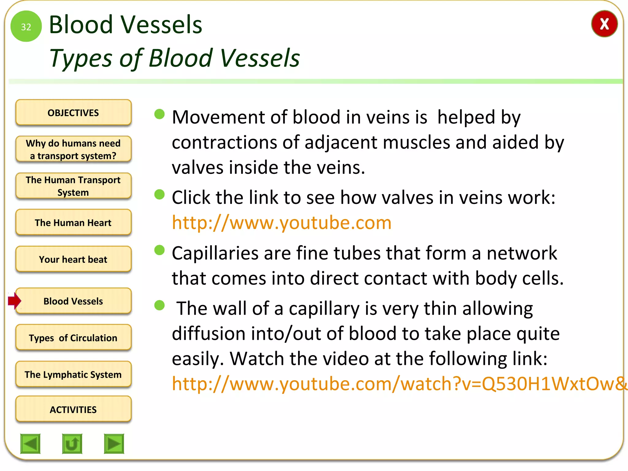 OBJECTIVES
The Human Transport
System
The Human Heart
Blood Vessels
Types of Circulation
ACTIVITIES
Your heart beat
The Lymphatic System
Why do humans need
a transport system?
Blood Vessels
Types of Blood Vessels
Movement of blood in veins is helped by
contractions of adjacent muscles and aided by
valves inside the veins.
Click the link to see how valves in veins work:
http://www.youtube.com
Capillaries are fine tubes that form a network
that comes into direct contact with body cells.
 The wall of a capillary is very thin allowing
diffusion into/out of blood to take place quite
easily. Watch the video at the following link:
http://www.youtube.com/watch?v=Q530H1WxtOw&
32
 