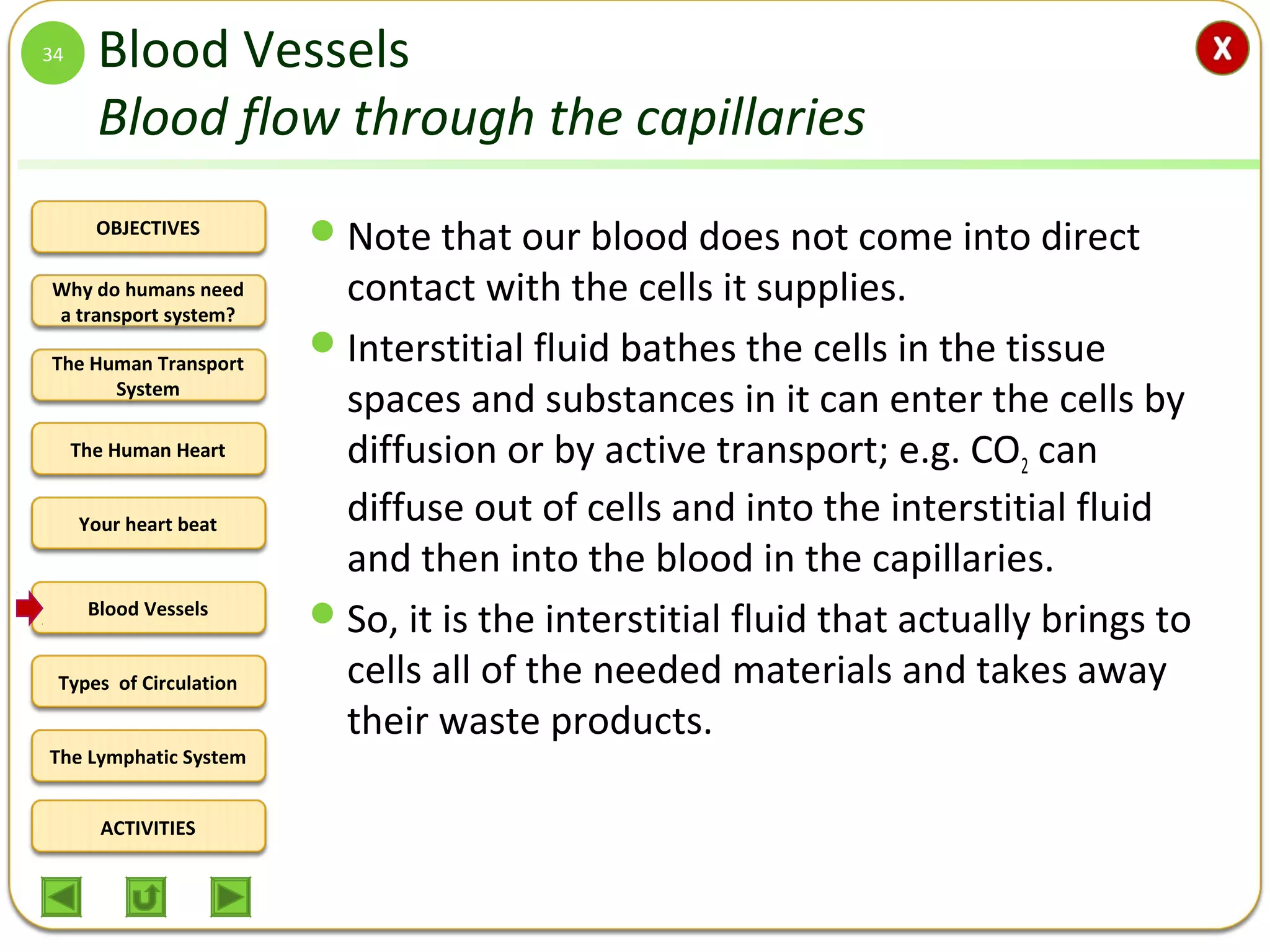 OBJECTIVES
The Human Transport
System
The Human Heart
Blood Vessels
Types of Circulation
ACTIVITIES
Your heart beat
The Lymphatic System
Why do humans need
a transport system?
Blood Vessels
Blood flow through the capillaries
Note that our blood does not come into direct
contact with the cells it supplies.
Interstitial fluid bathes the cells in the tissue
spaces and substances in it can enter the cells by
diffusion or by active transport; e.g. CO2 can
diffuse out of cells and into the interstitial fluid
and then into the blood in the capillaries.
So, it is the interstitial fluid that actually brings to
cells all of the needed materials and takes away
their waste products.
34
 