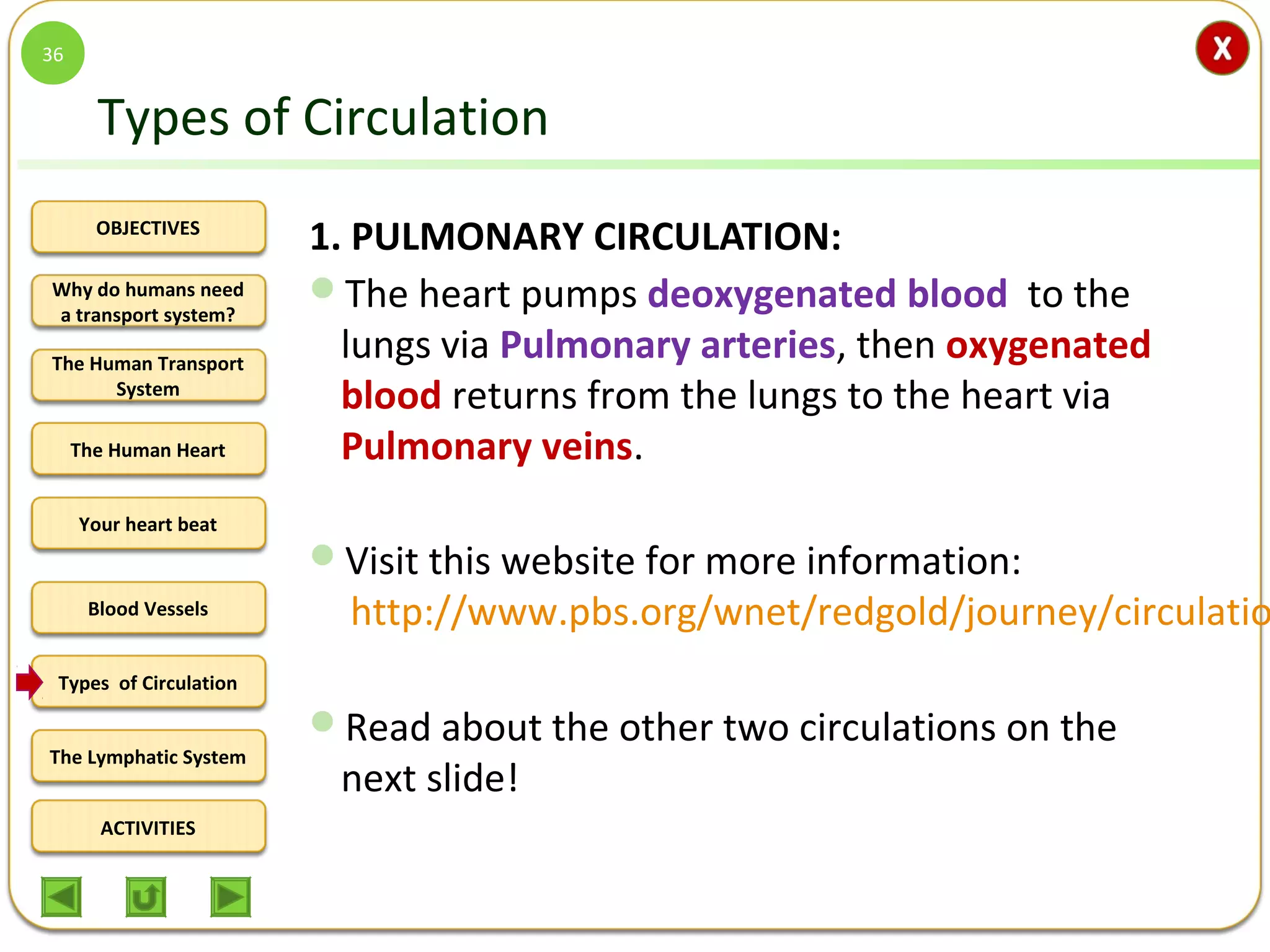 OBJECTIVES
The Human Transport
System
The Human Heart
Blood Vessels
Types of Circulation
ACTIVITIES
Your heart beat
The Lymphatic System
Why do humans need
a transport system?
Types of Circulation
1. PULMONARY CIRCULATION:
The heart pumps deoxygenated blood to the
lungs via Pulmonary arteries, then oxygenated
blood returns from the lungs to the heart via
Pulmonary veins.
Visit this website for more information:
http://www.pbs.org/wnet/redgold/journey/circulatio
Read about the other two circulations on the
next slide!
36
 