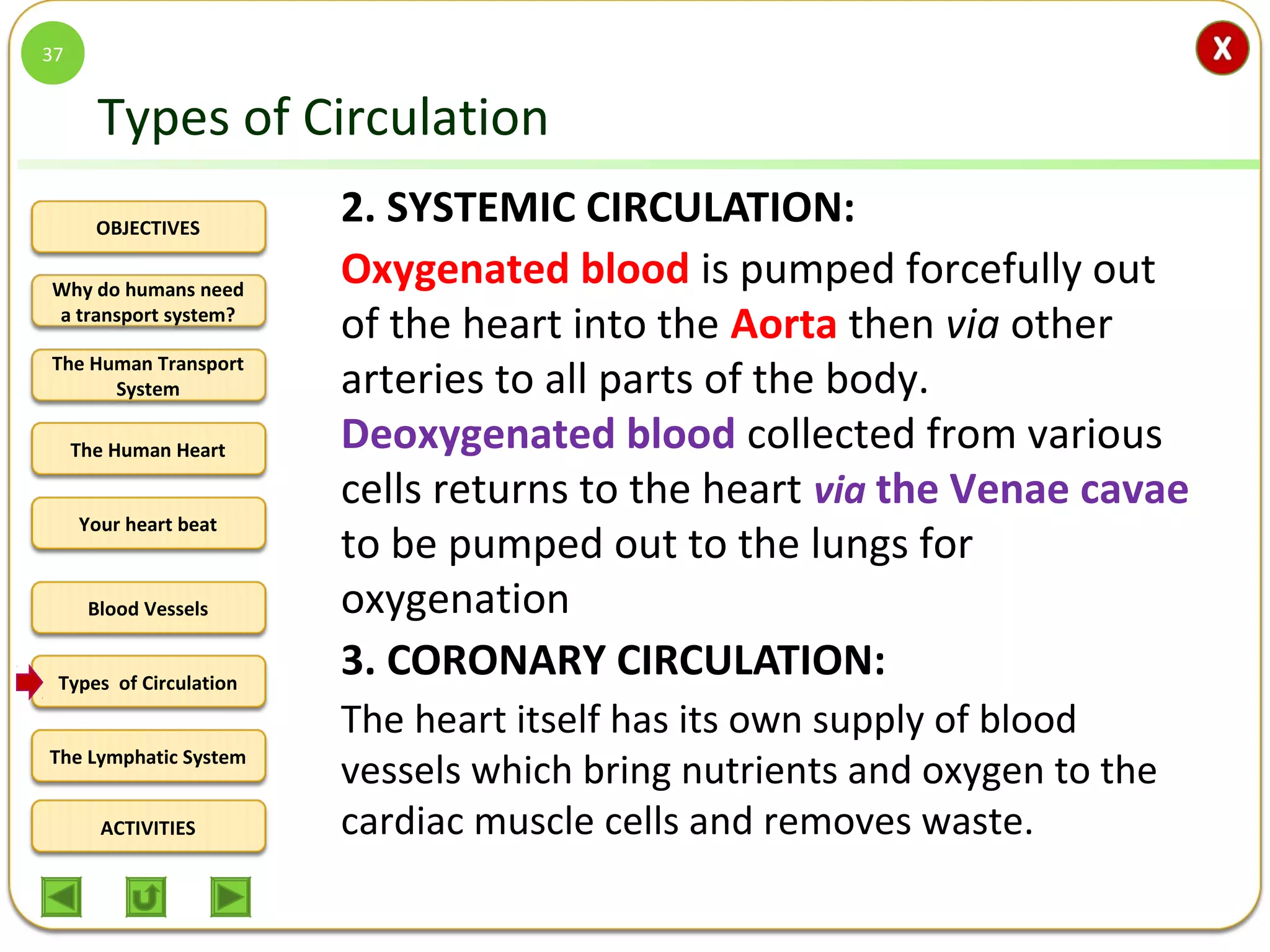 OBJECTIVES
The Human Transport
System
The Human Heart
Blood Vessels
Types of Circulation
ACTIVITIES
Your heart beat
The Lymphatic System
Why do humans need
a transport system?
Types of Circulation
2. SYSTEMIC CIRCULATION:
Oxygenated blood is pumped forcefully out
of the heart into the Aorta then via other
arteries to all parts of the body.
Deoxygenated blood collected from various
cells returns to the heart via the Venae cavae
to be pumped out to the lungs for
oxygenation
3. CORONARY CIRCULATION:
The heart itself has its own supply of blood
vessels which bring nutrients and oxygen to the
cardiac muscle cells and removes waste.
37
 