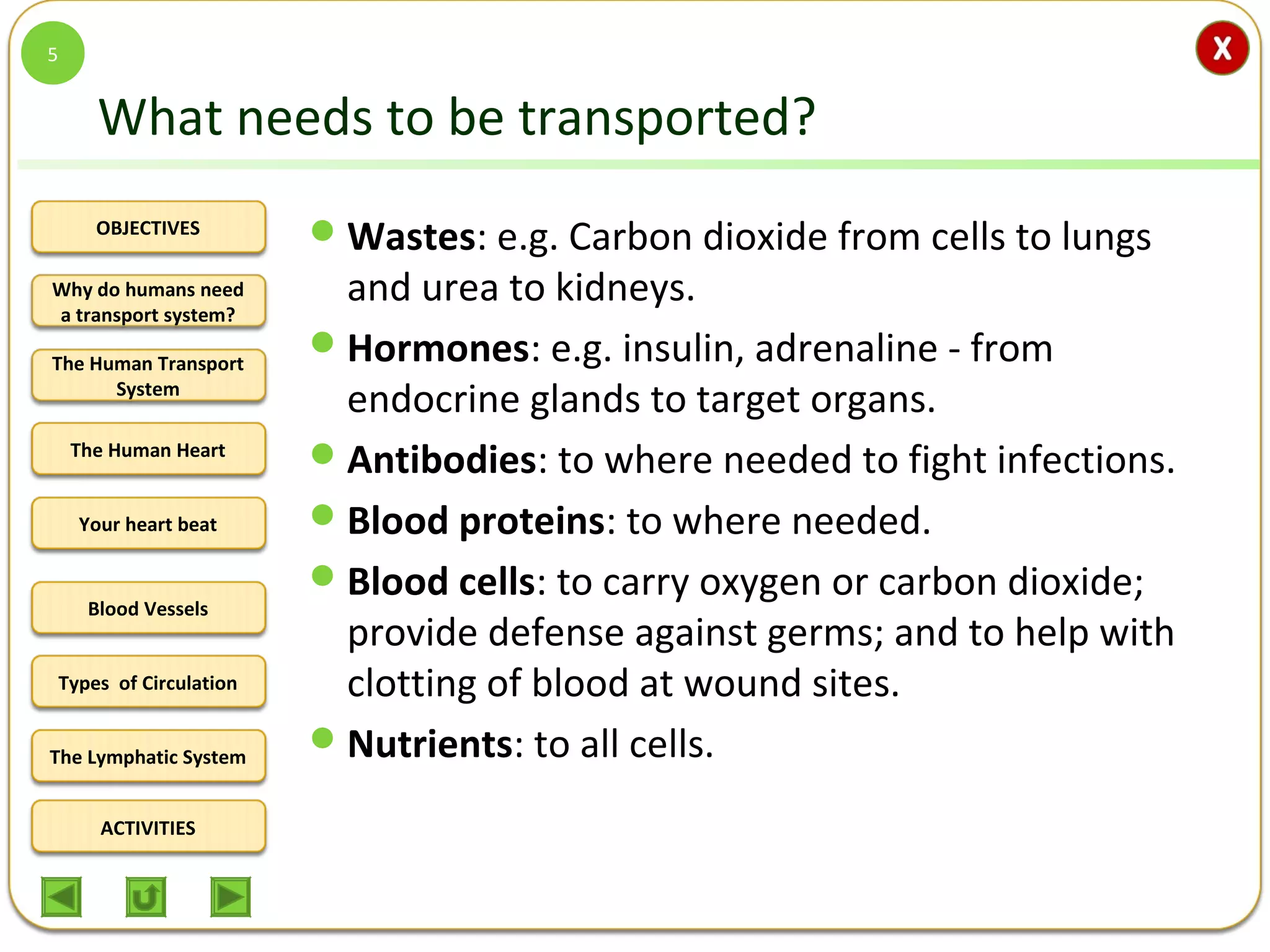 OBJECTIVES
The Human Transport
System
The Human Heart
Blood Vessels
Types of Circulation
ACTIVITIES
Your heart beat
The Lymphatic System
Why do humans need
a transport system?
What needs to be transported?
Wastes: e.g. Carbon dioxide from cells to lungs
and urea to kidneys.
Hormones: e.g. insulin, adrenaline - from
endocrine glands to target organs.
Antibodies: to where needed to fight infections.
Blood proteins: to where needed.
Blood cells: to carry oxygen or carbon dioxide;
provide defense against germs; and to help with
clotting of blood at wound sites.
Nutrients: to all cells.
5
 