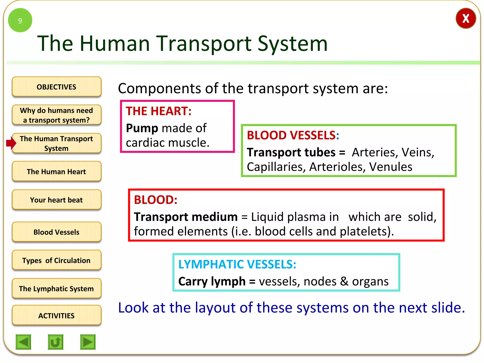 OBJECTIVES
The Human Transport
System
The Human Heart
Blood Vessels
Types of Circulation
ACTIVITIES
Your heart beat
The Lymphatic System
Why do humans need
a transport system?
The Human Transport System
Components of the transport system are:
Look at the layout of these systems on the next slide.
9
THE HEART:
Pump made of
cardiac muscle.
BLOOD VESSELS:
Transport tubes = Arteries, Veins,
Capillaries, Arterioles, Venules
BLOOD:
Transport medium = Liquid plasma in which are solid,
formed elements (i.e. blood cells and platelets).
LYMPHATIC VESSELS:
Carry lymph = vessels, nodes & organs
 