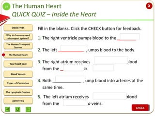 OBJECTIVES
The Human Transport
System
The Human Heart
Blood Vessels
Types of Circulation
ACTIVITIES
Your heart beat
The Ly...
