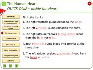 OBJECTIVES
The Human Transport
System
The Human Heart
Blood Vessels
Types of Circulation
ACTIVITIES
Your heart beat
The Ly...