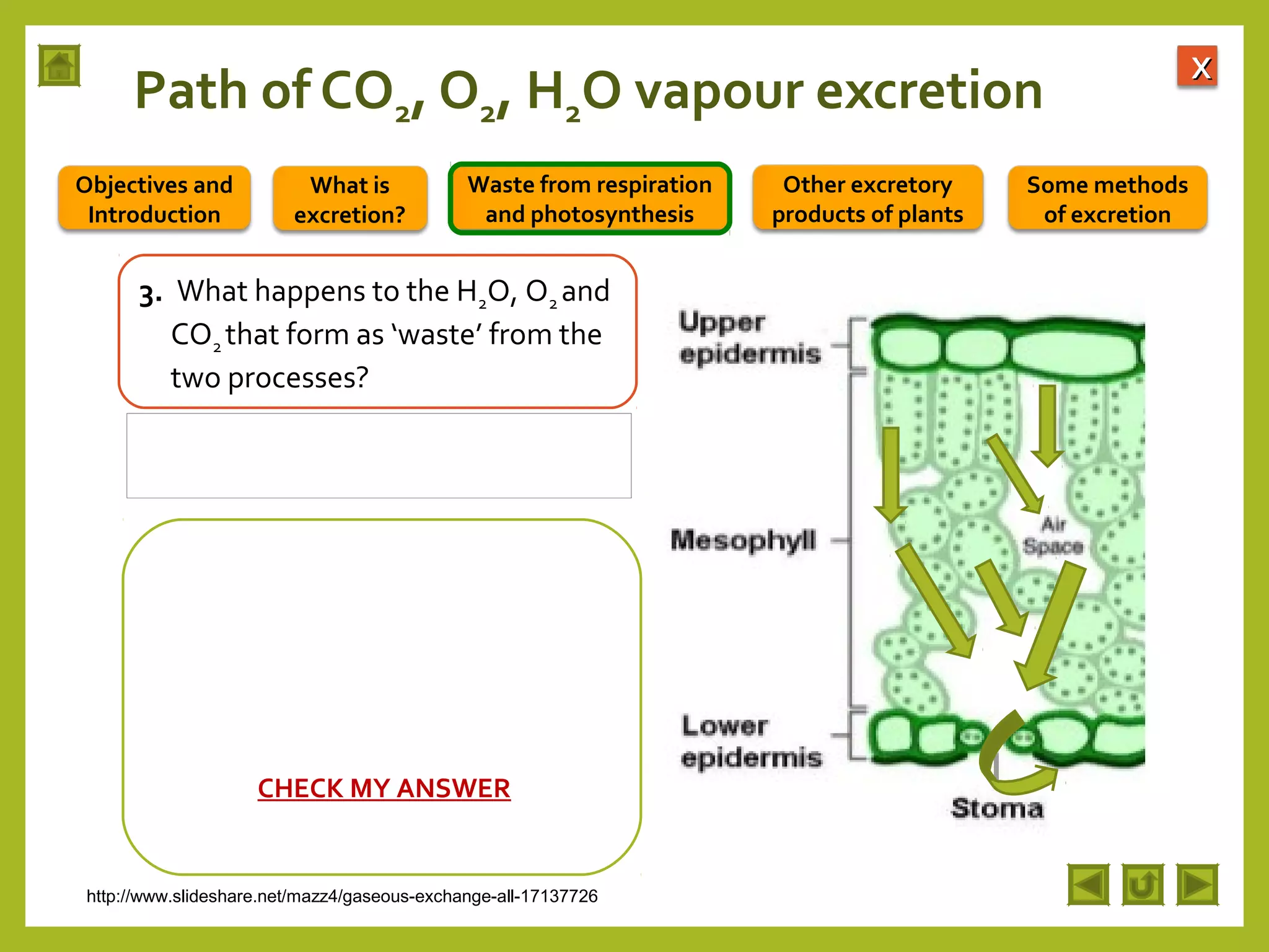 Integrated Science M2 Excretion In Plants 2048x1536