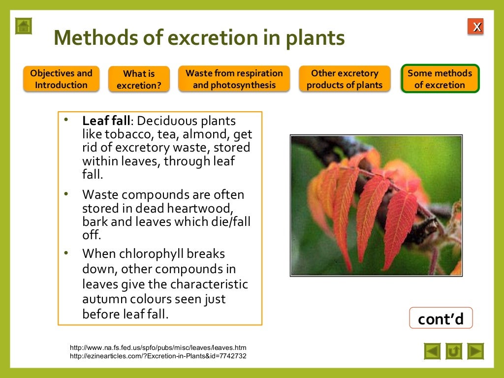 Integrated Science M2 Excretion in plants