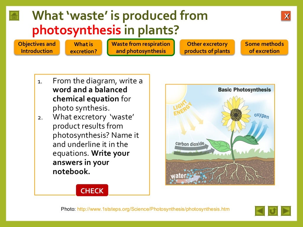 Integrated Science M2 Excretion in plants
