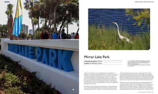 1. A monument sign, located at the northwest corner of the
park, uses details found in the historic building architecture
nearby and is positioned as a vertical barrier between the
street and a large plaza space.
2. A Great egret (Ardea alba) finds protection and food along
the banks of lake.
1
Landscape Architects: AECOM
Location: St Petersburg, Florida
Mirror Lake Park
On May 23, 2014, the City of St. Petersburg Florida celebrated the re-
opening of one of their downtown signature parks. The day was warm and
full of sun, a calm breeze was making its way across Mirror Lake as the
City Mayor and other elected officials began to tell stories of their own
experiences with the park. As the dedication ceremony was coming to an
end, it was clear that this park meant something different to each person
that experienced it. This area was dedicated as a park over 100 years ago
and continues to evolve into a place that relates to the social, economic and
ecological forces of today.
This park, like many parks located within urban areas, has the potential to
serve as the community gathering space, a place for recreation, relaxation
and a place that tells a story of the area. Urban parks also have the power
to position the adjacent areas for positive economic growth. This park
is uniquely positioned to have a positive impact on the local community
while providing ecological benefits for the local wildlife. Many bird species
reside here throughout the year and provide a wild setting to this urban area.
Visitors of the park are often seen taking pictures and getting close to birds
and water fowl. Turtles and various species of fish can also be found here.
The downtown parks and waterfront parks were being established as the
city began to grow. As the City of St Petersburg was developing into a
viable town in the late 1800’s, the City’s drinking water was sourced from
Reservoir Lake, now known as Mirror Lake. Mirror Lake was the city’s
first municipal water supply until 1908. In 1898 the lake was guarded after
attempted poisoning by the Spanish (it supplied water to the port of Tampa
2
INSIGHTS
86 87
URBAN RENEWAL AND REGENERATION
Landscape Record Vol. 3/2016.06Landscape Record Vol. 3/2016.06
 