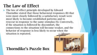 The Law of Effect
 The law of effect principle developed by Edward
Thorndike stated that those behavioral responses (R) t...