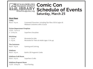Hosting Your Own Comic Con: The Ultimate All-Ages Program | PPTX