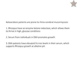 Ketoacidosis patients are prone to rhino-cerebral mucormycosis
1. Rhizopus have an enzyme ketone reductase, which allows them
to thrive in high, glucose conditions
2. Serum from individuals in DKA promotes growth
3. DKA patients have elevated Fe iron levels in their serum, which
supports Rhizopus growth at alkaline pH
 