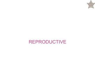 REPRODUCTIVE
 