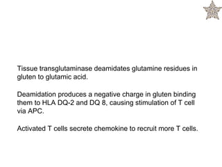 Tissue transglutaminase deamidates glutamine residues in
gluten to glutamic acid.
Deamidation produces a negative charge in gluten binding
them to HLA DQ-2 and DQ 8, causing stimulation of T cell
via APC.
Activated T cells secrete chemokine to recruit more T cells.
 