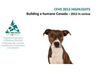 CFHS 2013 HIGHLIGHTS
Building a humane Canada – 2013 in review

 