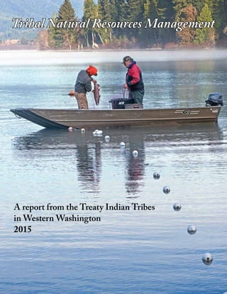 Tribal Natural Resources Management
A report from the Treaty Indian Tribes
in Western Washington
2015
 