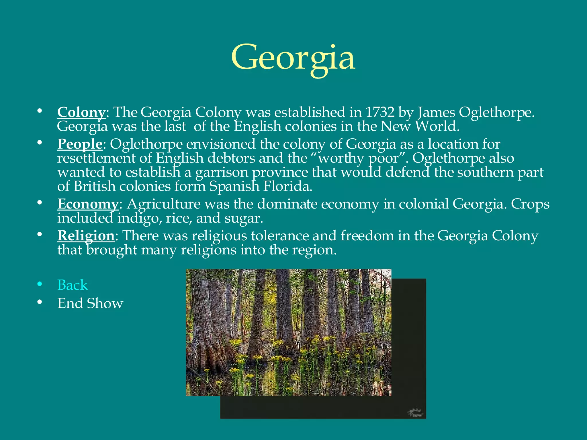 Georgia Colony : The Georgia Colony was established in 1732 by James Oglethorpe. Georgia was the last  of the English colonies in the New World.  People : Oglethorpe envisioned the colony of Georgia as a location for resettlement of English debtors and the “worthy poor”. Oglethorpe also wanted to establish a garrison province that would defend the southern part of British colonies form Spanish Florida.  Economy : Agriculture was the dominate economy in colonial Georgia. Crops included indigo, rice, and sugar.  Religion : There was religious tolerance and freedom in the Georgia Colony that brought many religions into the region. Back End Show 