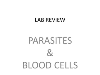 LAB REVIEW PARASITES & BLOOD CELLS 