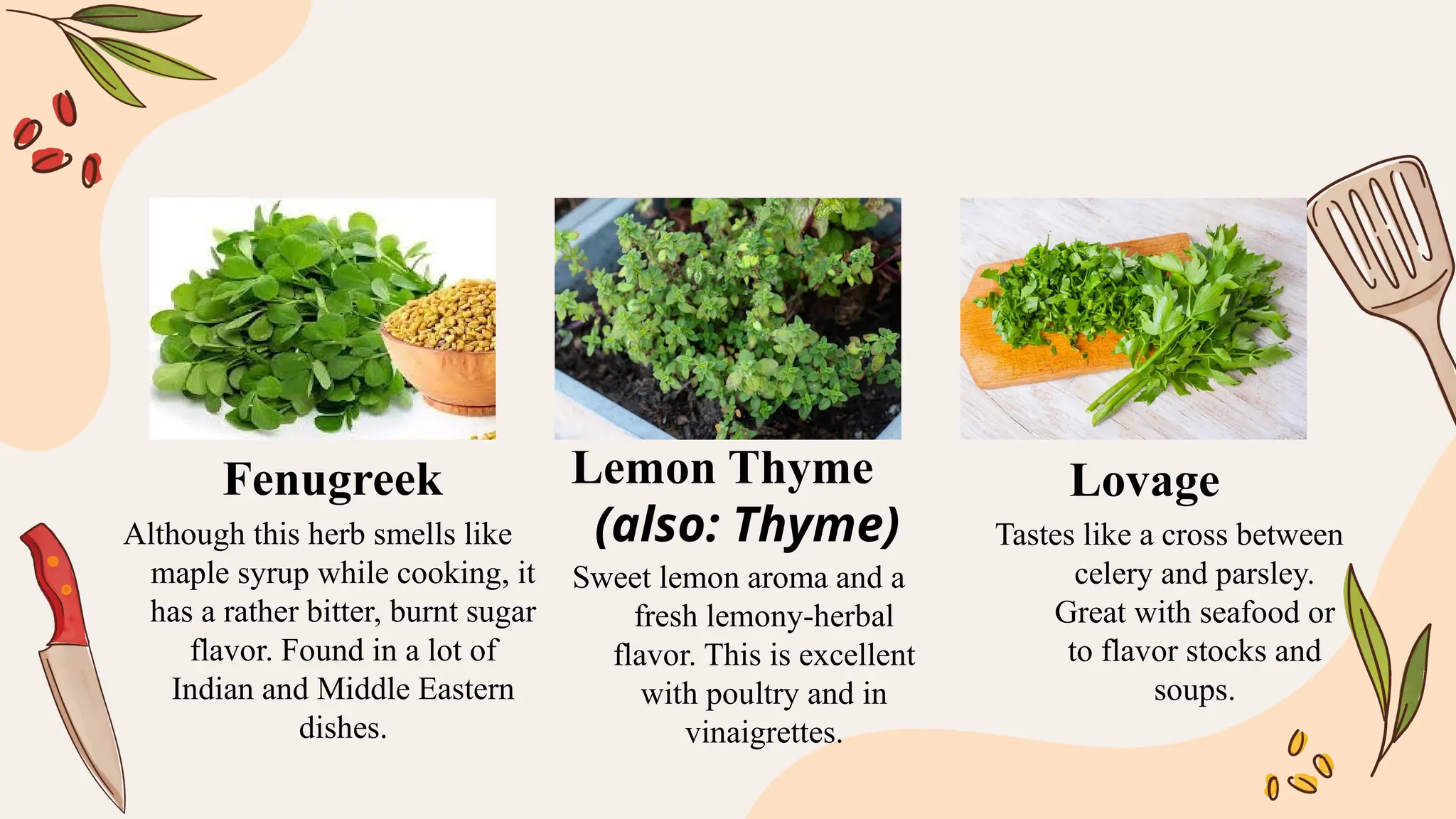 Although this herb smells like
maple syrup while cooking, it
has a rather bitter, burnt sugar
flavor. Found in a lot of
Indian and Middle Eastern
dishes.
Sweet lemon aroma and a
fresh lemony-herbal
flavor. This is excellent
with poultry and in
vinaigrettes.
Tastes like a cross between
celery and parsley.
Great with seafood or
to flavor stocks and
soups.
Fenugreek Lemon Thyme
(also: Thyme)
Lovage
 