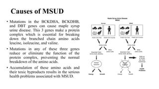 Maple Syrup Urine Disease Symptoms