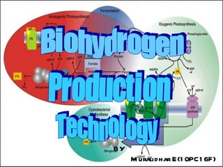 Biohydrogen Production Technology BY Muralidhar E(10PC16F) 