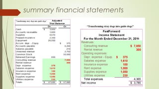 summary financial statements
 