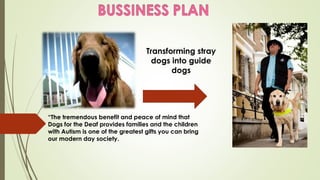 “The tremendous benefit and peace of mind that
Dogs for the Deaf provides families and the children
with Autism is one of the greatest gifts you can bring
our modern day society. 
Transforming stray
dogs into guide
dogs
 