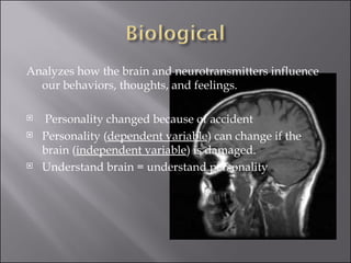 Analyzes how the brain and neurotransmitters influence our behaviors, thoughts, and feelings. Personality changed because of accident  Personality ( dependent variable ) can change if the brain ( independent variable ) is damaged.  Understand brain = understand personality  