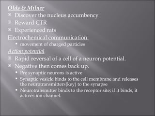 Olds & Milner   Discover the nucleus accumbency  Reward CTR   Experienced rats  Electrochemical communication  movement of charged particles  Action potential Rapid reversal of a cell of a neuron potential.   Negative then comes back up.  Pre synaptic neurons is active  Synaptic vesicle binds to the cell membrane and releases the neurotransmitters(key) to the synapse  Neurotransmitter binds to the receptor site; if it binds, it actives ion channel.  