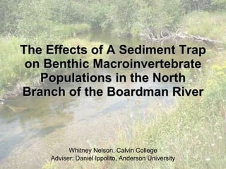 The Effects of A Sediment Trap on Benthic Macroinvertebrate Populations in the North Branch of the Boardman River Whitney Nelson, Calvin College Adviser: Daniel Ippolito, Anderson University 