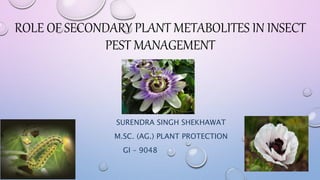ROLE OF SECONDARY PLANT METABOLITES IN INSECT
PEST MANAGEMENT
SURENDRA SINGH SHEKHAWAT
M.SC. (AG.) PLANT PROTECTION
GI – 9048
 