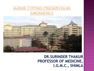 DR.SURINDER THAKUR
PROFESSOR OF MEDICINE,
       I.G.M.C., SHIMLA
 