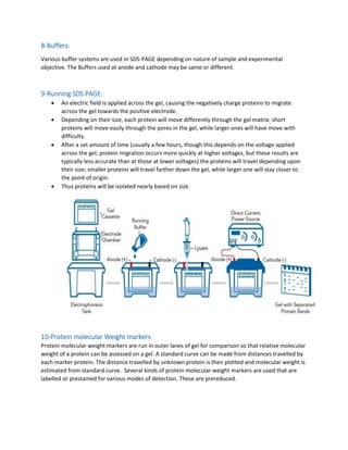 Anode Buffer Final - SDS-PAGE electrophoresis.docx