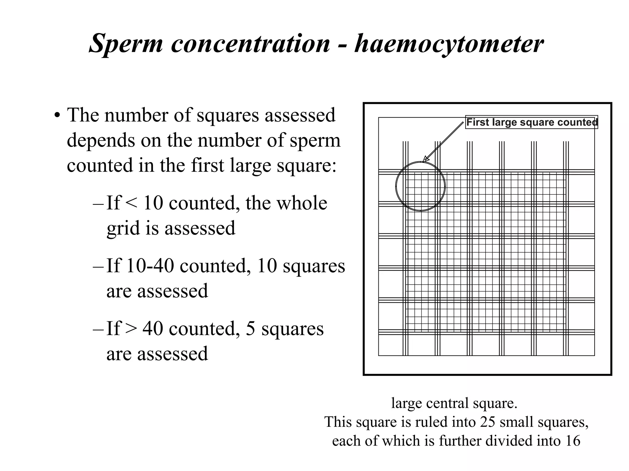 Seminal Uid Analysis Final-Seminal-fluid-analysis-Alaqsa.ppt
