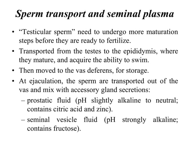 Seminal Uid Analysis Final-Seminal-fluid-analysis-Alaqsa.ppt